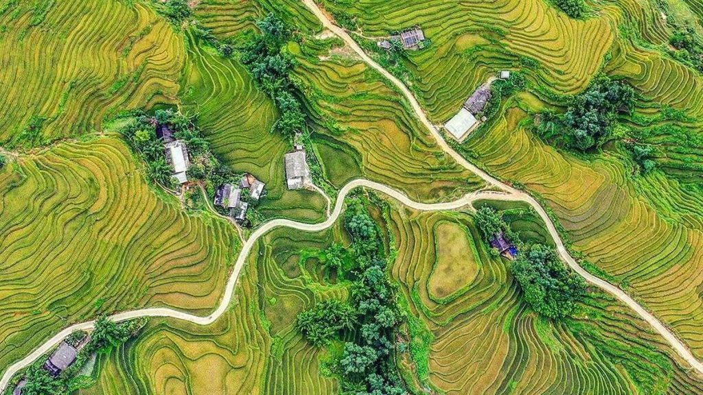 Thời điểm săn 'mùa vàng' ở các tỉnh miền