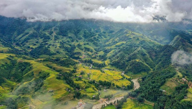 Cẩm nang du lịch bản Tả Van - Báo