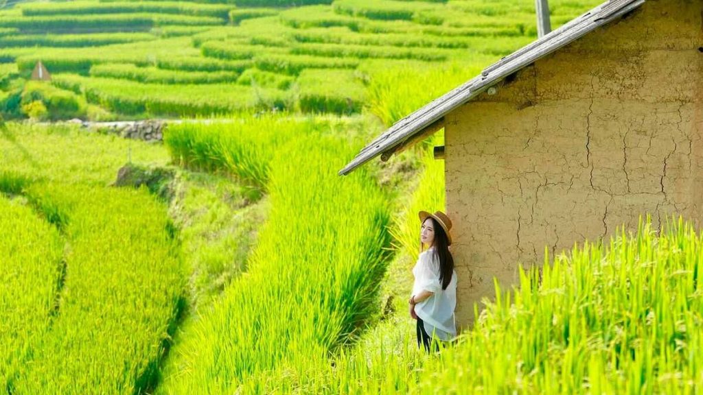 7 trải nghiệm không nên bỏ lỡ ở Y