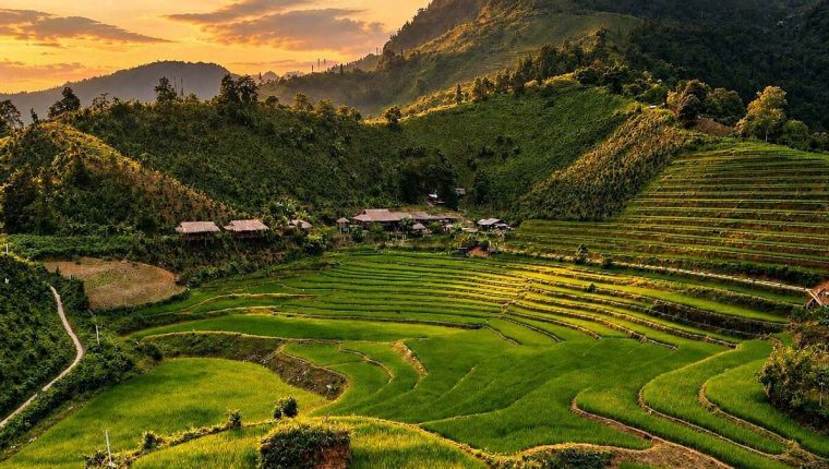 Sống ở Bản Liền mùa lúa chín