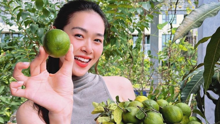 Diệp Bảo Ngọc hái trái cây vườn sân thượng