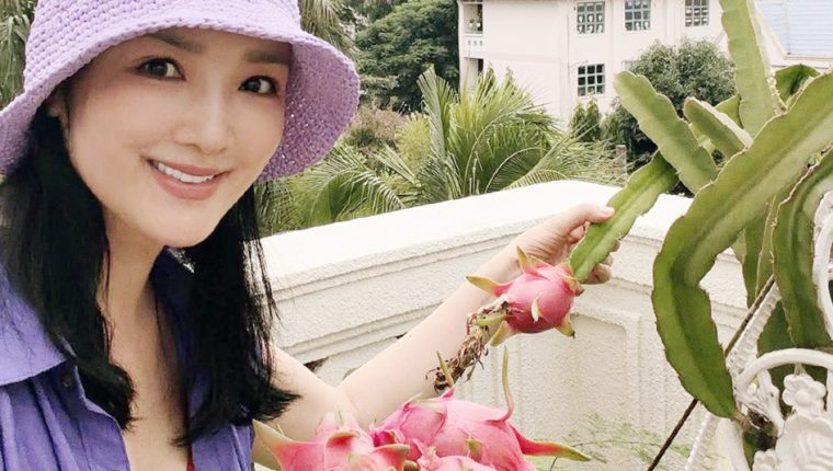 Vườn rau trái ở biệt thự của hoa hậu
