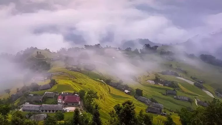 Khám phá 'nàng thơ' ruộng bậc thang Hoàng Su