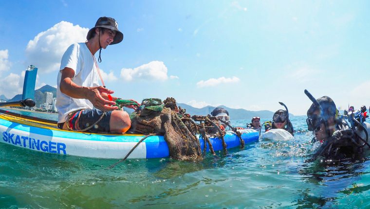 Sứa xuất hiện dày ở biển Nha Trang, nhiều