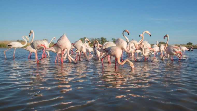 10 tuyệt tác thiên nhiên châu Âu phải tới