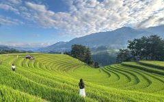 Chàng trai Nga gây chú ý với bức ảnh đường ‘cô đơn nhất Việt Nam’