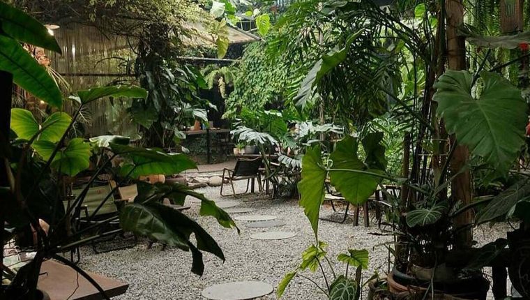 8 quán cà phê sân vườn để tận hưởng