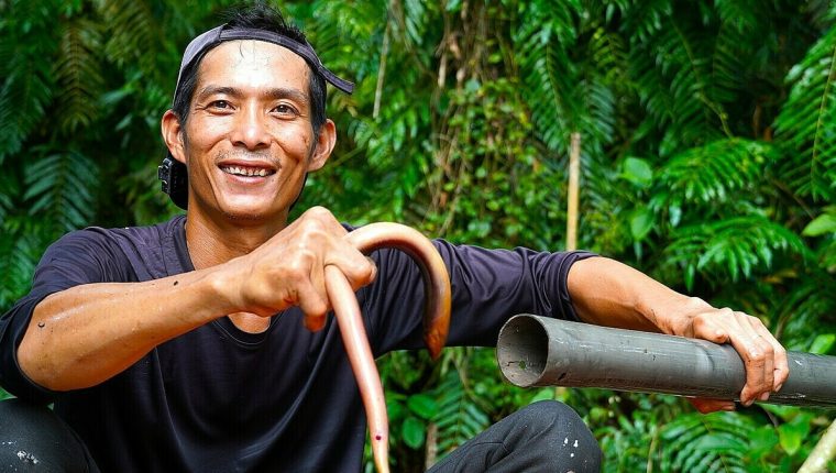 Đặt trúm bắt lươn giữa rừng U Minh Hạ