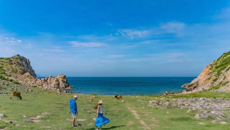 Đảo Bích Đầm - nơi có bãi đá tròn