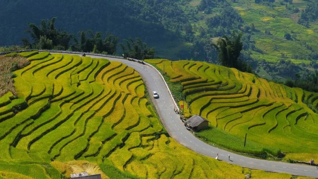 Cung đường chữ S ở Y Tý