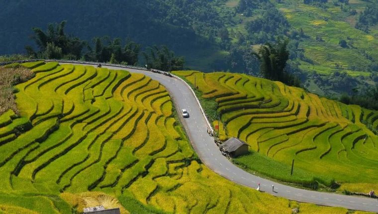 Cung đường chữ S ở Y Tý