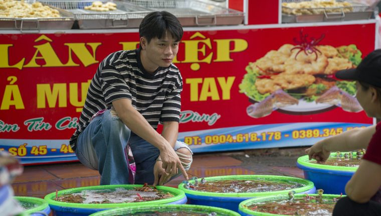 Chợ hải sản hút du khách ở vịnh Hạ