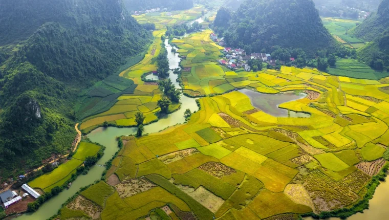 Cao Bằng vào mùa gặt
