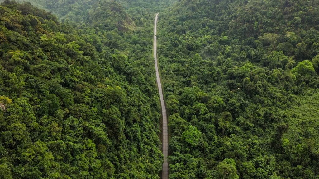 Chàng trai Nga gây chú ý với bức ảnh