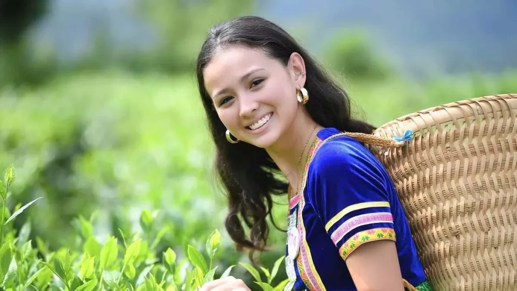 Nhan sắc 'bông hồng lai' thi Hoa hậu Việt