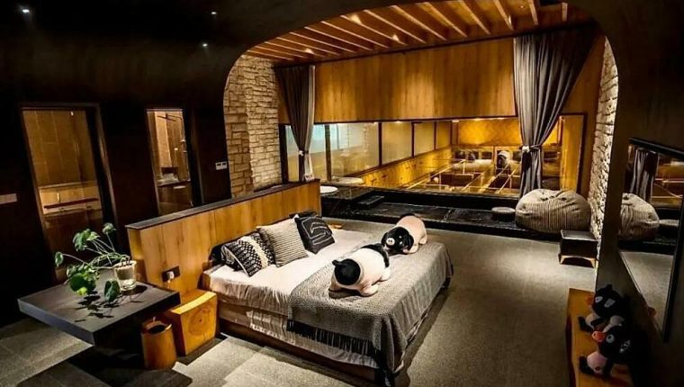Phòng nghỉ view chuồng lợn hút khách tại Trung
