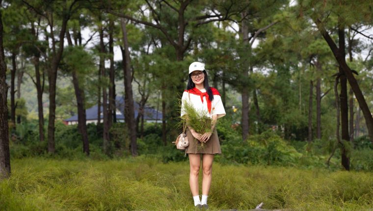 Đổ xô đi check in cánh đồng rễ trăm