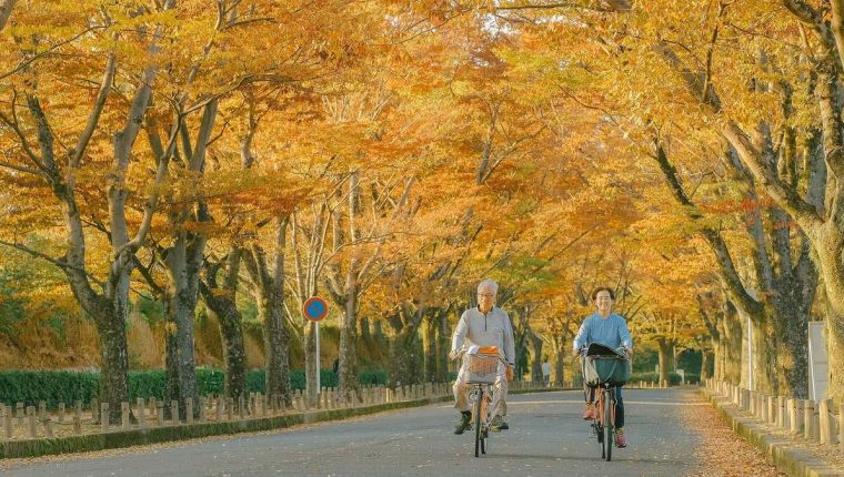 Đến Kyoto mùa thu, ngắm lá đỏ bên những