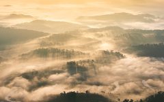 DJI 20261004061914 0405 D 1791566791