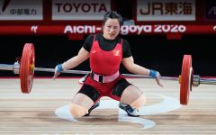 nguye n hoa i hu o ng 17910871 8356 6366 1791089103